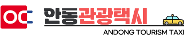 안동관광택시